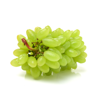 Thompson Seedless